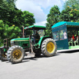 4D3N Miri City + Niah Cave + Borneo Tropical Rainforest 4D3N Miri City + Niah Cave + Borneo Tropical Rainforest