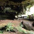 4D3N Miri City + Niah Cave + Borneo Tropical Rainforest 4D3N Miri City + Niah Cave + Borneo Tropical Rainforest