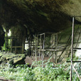 4D3N Miri City + Niah Cave + Borneo Tropical Rainforest 4D3N Miri City + Niah Cave + Borneo Tropical Rainforest