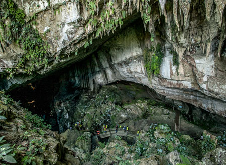 2D1N Mulu Caves 2D1N Mulu Caves