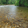 3D2N Mulu Pinnacles 3D2N Mulu Pinnacles