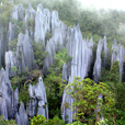 3D2N Mulu Pinnacles 3D2N Mulu Pinnacles