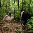 3D2N Mulu Headhunter Trails 3D2N Mulu Headhunter Trails