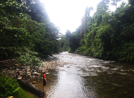 3D2N Mulu Headhunter Trails 3D2N Mulu Headhunter Trails