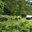 4D3N Mulu Caves + Pinnacles 4D3N Mulu Caves + Pinnacles