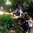 4D3N Mulu Caves + Pinnacles 4D3N Mulu Caves + Pinnacles
