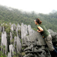 4D3N Mulu Caves + Pinnacles 4D3N Mulu Caves + Pinnacles
