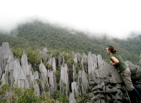 4D3N Mulu Caves + Pinnacles 4D3N Mulu Caves + Pinnacles
