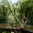 4D3N Mulu Caves + Headhunter Trails 4D3N Mulu Caves + Headhunter Trails