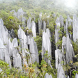 5D4N Mulu Pinnacles + Headhunter Trail 5D4N Mulu Pinnacles + Headhunter Trail