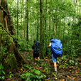 5D4N Mulu Pinnacles + Headhunter Trail 5D4N Mulu Pinnacles + Headhunter Trail