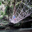 5D4N Mulu Pinnacles + Headhunter Trail 5D4N Mulu Pinnacles + Headhunter Trail