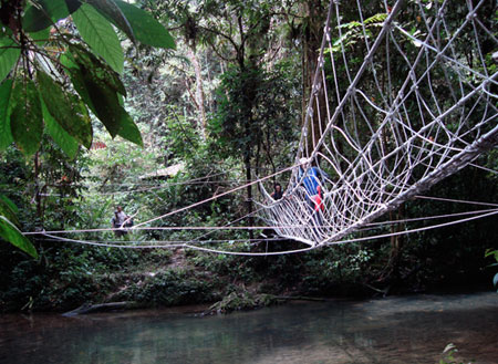 5D4N Mulu Pinnacles + Headhunter Trail 5D4N Mulu Pinnacles + Headhunter Trail