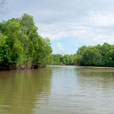 Kinabatangan River Kinabatangan River