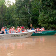 Kinabatangan River Kinabatangan River