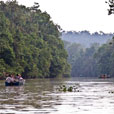 2 Days 1 Night Kinabatangan River 2 Days 1 Night Kinabatangan River