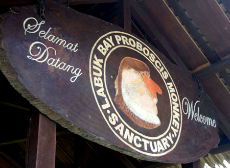 3D2N Kinabatangan River 3D2N Kinabatangan River