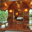 2D1N Borneo Natural Resort (Sukau Wildlife Tours) 2D1N Borneo Natural Resort (Sukau Wildlife Tours)
