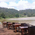 2D1N Borneo Natural Resort (Sukau Wildlife Tours) 2D1N Borneo Natural Resort (Sukau Wildlife Tours)