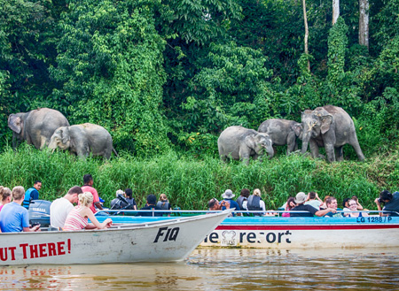 2D1N Selingan Turtle Island & Sepilok Orang Utan 2D1N Selingan Turtle Island & Sepilok Orang Utan