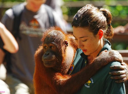 4D3N Sandakan Historical + Wildlife Tour + Selingan Island 4D3N Sandakan Historical + Wildlife Tour + Selingan Island