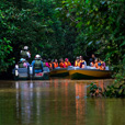 5D4N Sandakan Historical + Wildlife Tour + Selingan Island 5D4N Sandakan Historical + Wildlife Tour + Selingan Island
