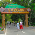 5D4N Sandakan Historical + Wildlife Tour + Selingan Island 5D4N Sandakan Historical + Wildlife Tour + Selingan Island