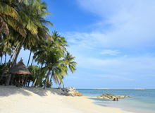 3D2N Semporna (Mabul Island + Kapalai) 3D2N Semporna (Mabul Island + Kapalai)