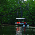 4D3N Semporna Island Hopping + Fireflies + Mongrove Cruise 4D3N Semporna Island Hopping + Fireflies + Mongrove Cruise