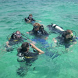 Semporna Discover Scuba Diving (For Non-Cert Diver) Semporna Discover Scuba Diving (For Non-Cert Diver)