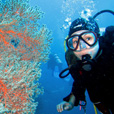 Semporna Discover Scuba Diving (For Non-Cert Diver) Semporna Discover Scuba Diving (For Non-Cert Diver)