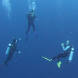 Semporna Fun Diving (For Cert Diver) Semporna Fun Diving (For Cert Diver)