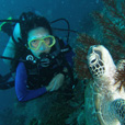 Semporna Fun Diving (For Cert Diver) Semporna Fun Diving (For Cert Diver)