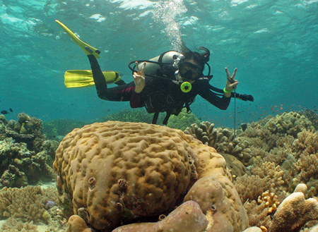 Semporna Fun Diving (For Cert Diver) Semporna Fun Diving (For Cert Diver)