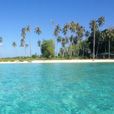 4D3N Semporna (2 nights at Sipadan Kapalai Dive Resort) 4D3N Semporna (2 nights at Sipadan Kapalai Dive Resort)