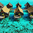 5D4N Semporna Island Hopping (2 Nights At Sipadan Kapalai Dive Resort) 5D4N Semporna Island Hopping (2 Nights At Sipadan Kapalai Dive Resort)