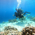 5D4N Semporna Island Hopping (2 Nights At Sipadan Kapalai Dive Resort) 5D4N Semporna Island Hopping (2 Nights At Sipadan Kapalai Dive Resort)